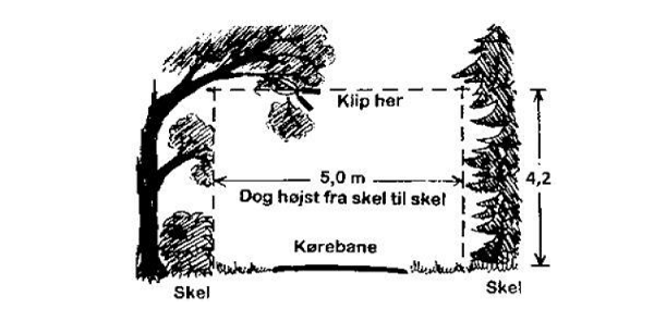Tegningen viser, hvordan du skal beskære og klippe beplantningen på en privat fællesvej. Vi har også forklaret de samme principper med ord på denne side.