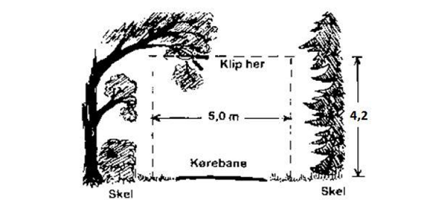 Tegningen viser, hvordan du skal beskære og klippe beplantningen på en privat fællesvej. Vi har også forklaret de samme principper med ord på denne side.