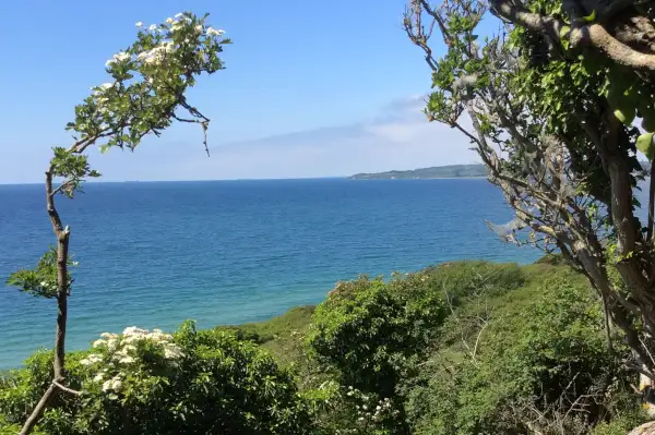 Kratskov - R&oslash;sn&aelig;s