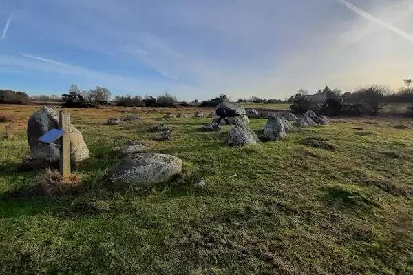 Langdysse - Vesterlyng